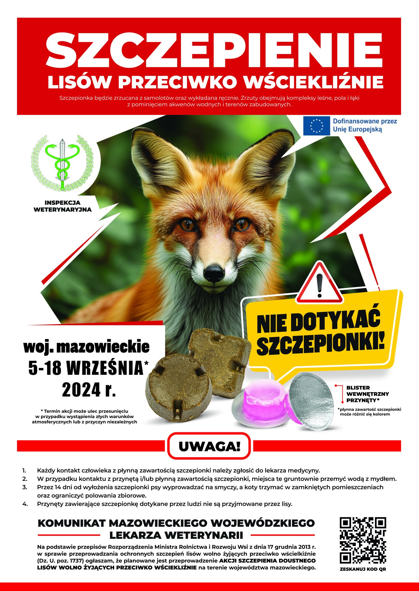 SZCZEPIENIE LISÓW PRZECIWKO WŚCIEKLIŹNIE Szczepionka będzie zrzucana z samolotów oraz wykładana ręcznie. Zrzuty obejmują kompleksy leśne, pola i łąki z pominięciem akwenów wodnych i terenów zabudowanych. Dofinansowane przez Unię Europejską INSPEKCJA WETERYNARYJNA woj. mazowieckie 5-18 WRZEŚNIA* 2024 r. Termin akcji może ulec przesunięciu w przypadku wystąpienia złych warunków atmosferycznych lub z przyczyn niezależnych ! NIE DOTYKAĆ SZCZEPIONKI! BLISTER WEWNĘTRZNY PRZYNĘTY &amp;quot;płynna zawartość szczepionki może różnić się kolorem UWAGA! 1. Każdy kontakt człowieka z płynną zawartością szczepionki należy zgłosić do lekarza medycyny. W przypadku kontaktu z przynętą i/lub płynną zawartością szczepionki, miejsca te gruntownie przemyć wodą z mydłem. 2. 3. Przez 14 dni od wyłożenia szczepionki psy wyprowadzać na smyczy, a koty trzymać w zamkniętych pomieszczeniach oraz ograniczyć polowania zbiorowe. 4 Przynęty zawierające szczepionkę dotykane przez ludzi nie są przyjmowane przez lisy. KOMUNIKAT MAZOWIECKIEGO WOJEWÓDZKIEGO LEKARZA WETERYNARII Na podstawie przepisów Rozporządzenia Ministra Rolnictwa i Rozwoju Wsi z dnia 17 grudnia 2013 r. w sprawie przeprowadzania ochronnych szczepień lisów wolno żyjących przeciwko wścielkiźnie (Dz. U. poz. 1737) ogłaszam, że planowane jest przeprowadzenie AKCJI SZCZEPIENIA DOUSTNEGO LISÓW WOLNO ŻYJĄCYCH PRZECIWKO WŚCIEKLIŹNIE na terenie województwa mazowieckiego. ZESKANUJ KOD OR