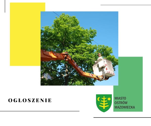 PGE Dystrybucja przeprowadza prace konserwacyjne pod liniami niskiego napięcia