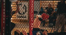 Podsumowanie startu na Pucharze Polski MMA w Sochaczewie (ALMMA)