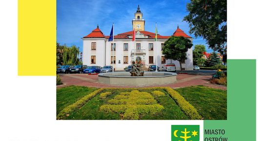 Ogłoszenie Burmistrza Miasta z dnia 9.06.2026 r. dotyczące oferty zadania publicznego, złożonej w trybie art. 19a ustawy z dnia 24 kwietnia 2003 r. o działalności pożytku publicznego i o wolontariacie